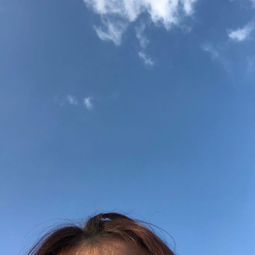 卢子大炮