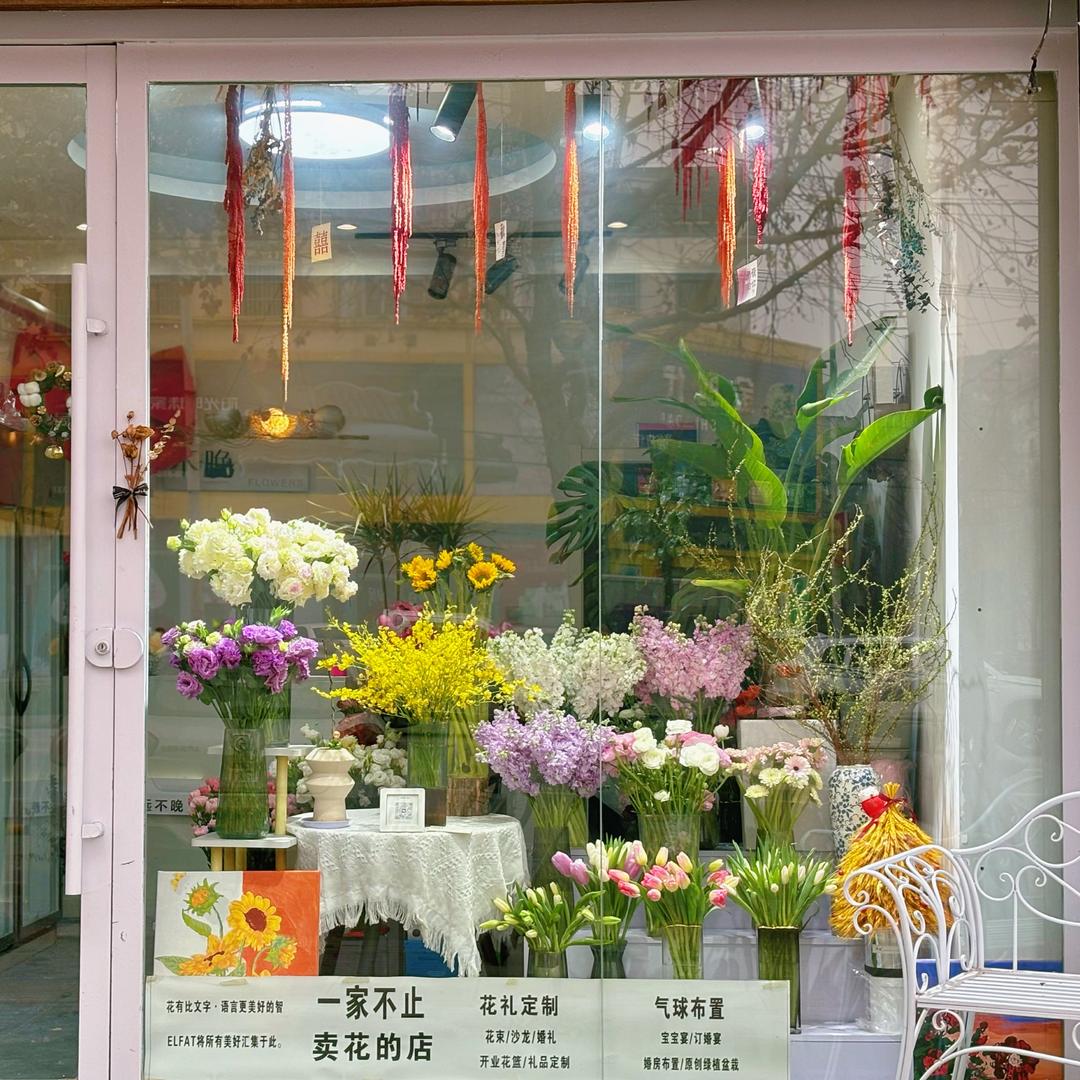 漳县不晚花卉工作室