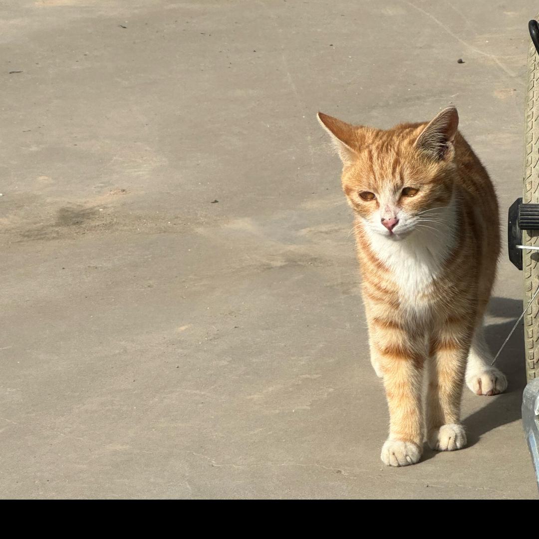 娜娜为爱守护（记录生活日常）
