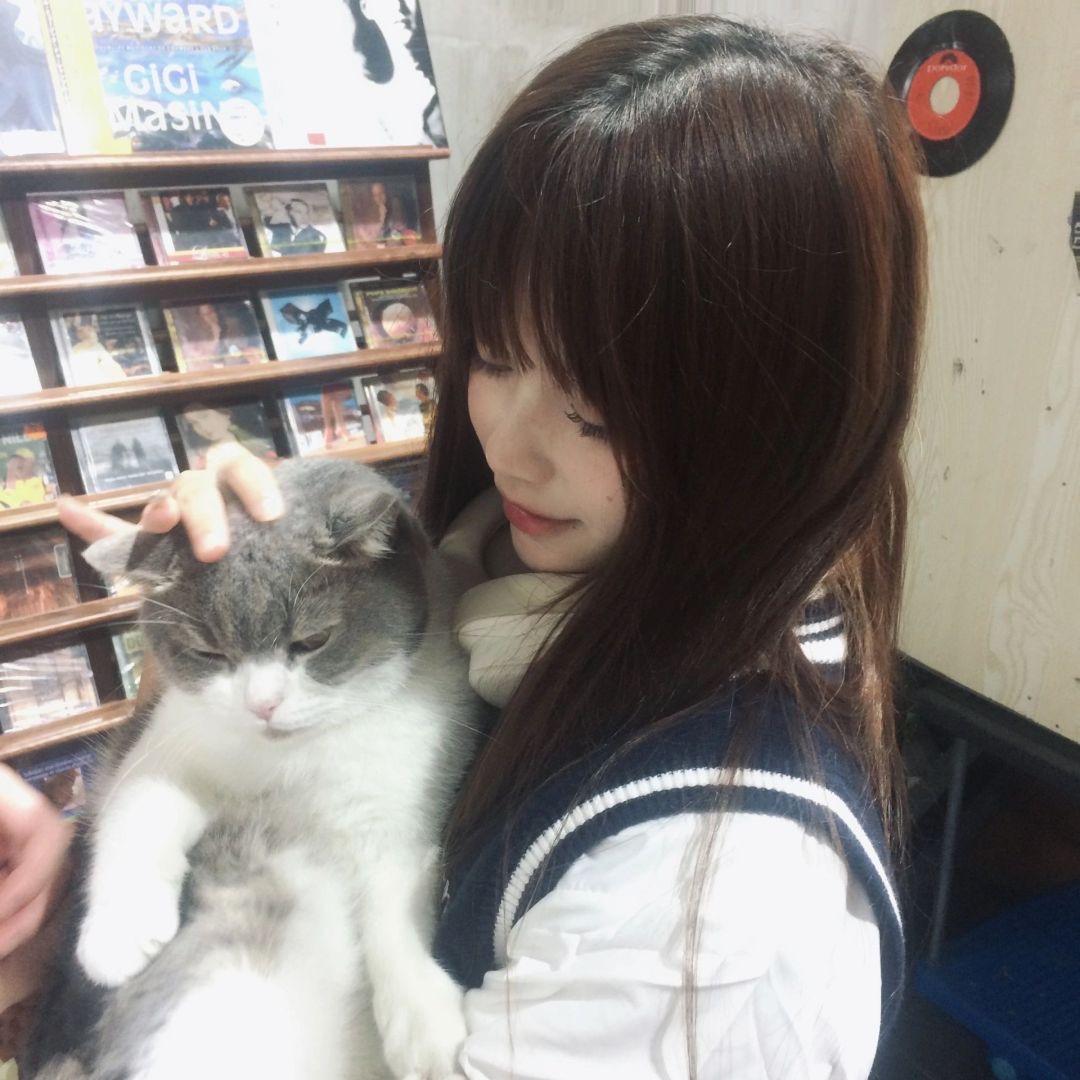 梨花猫