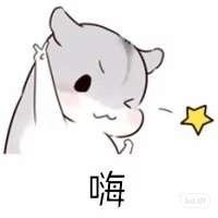 小吕不懂