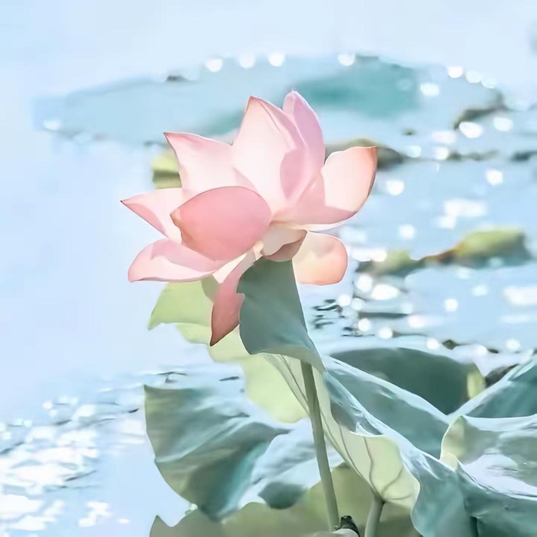 逆風如解意
