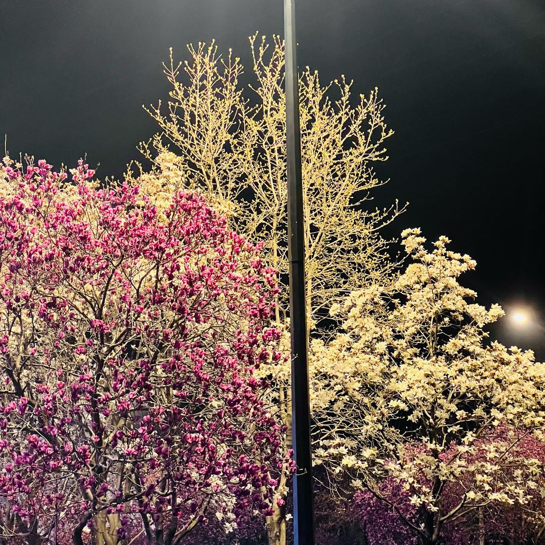 奢迹SHEJI鞋类旗舰店