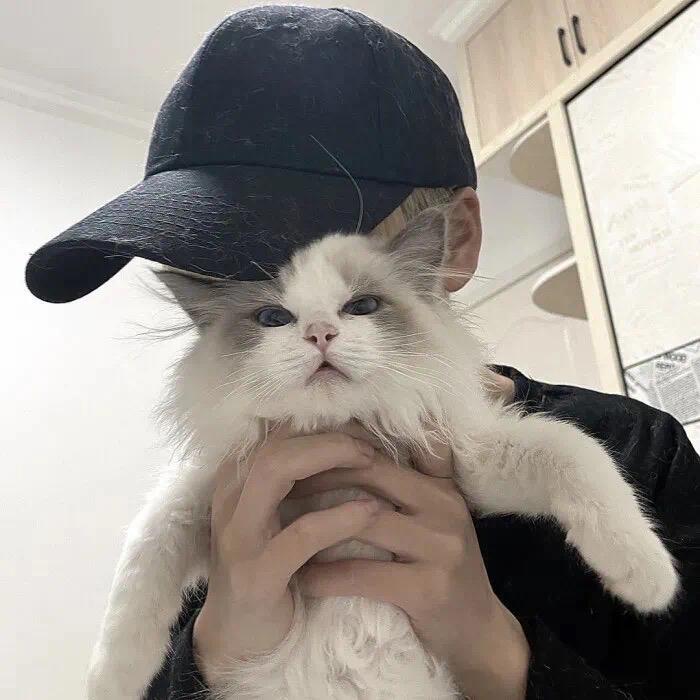 清枫🍁