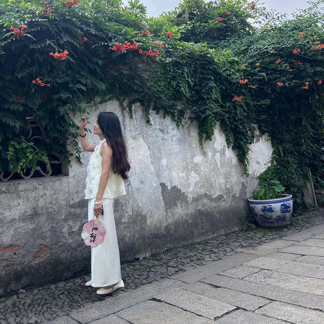 左小姐