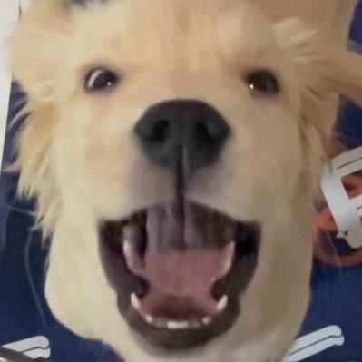 炸毛软糖不加葱