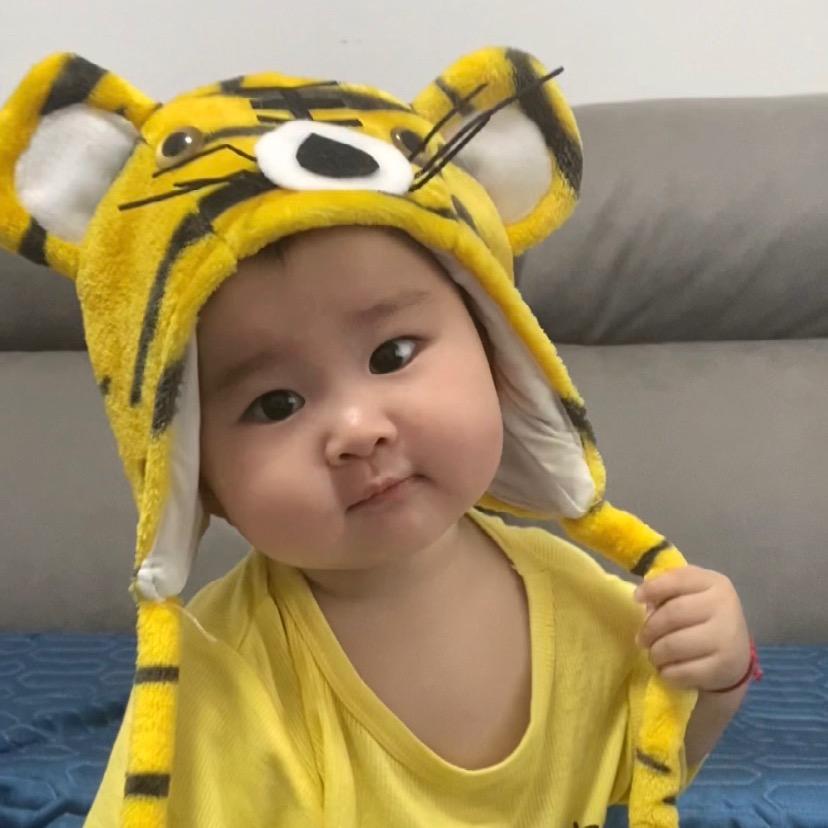 肉丸子吖