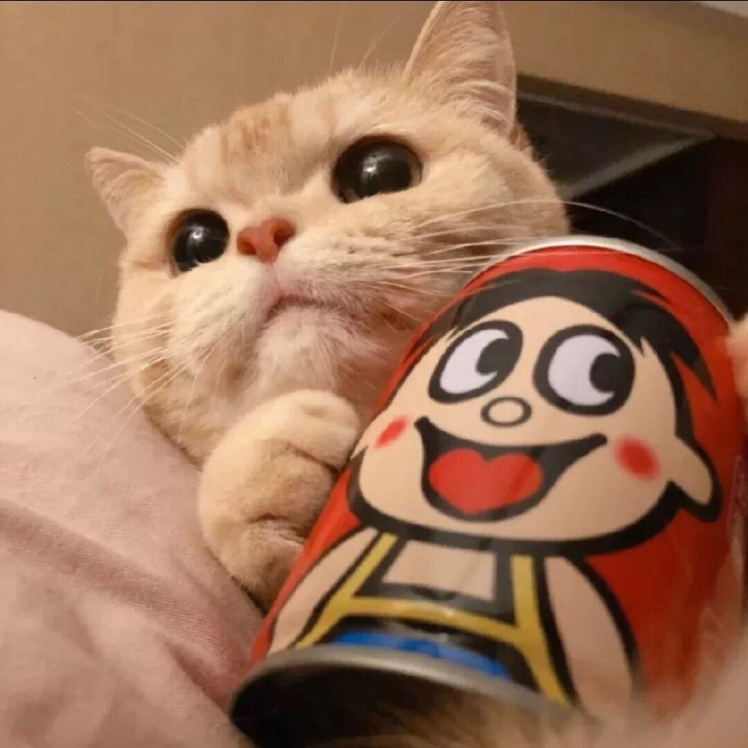 吃香菜要配香菜