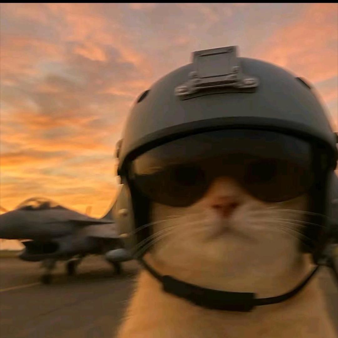 吾语情（三角洲行动）