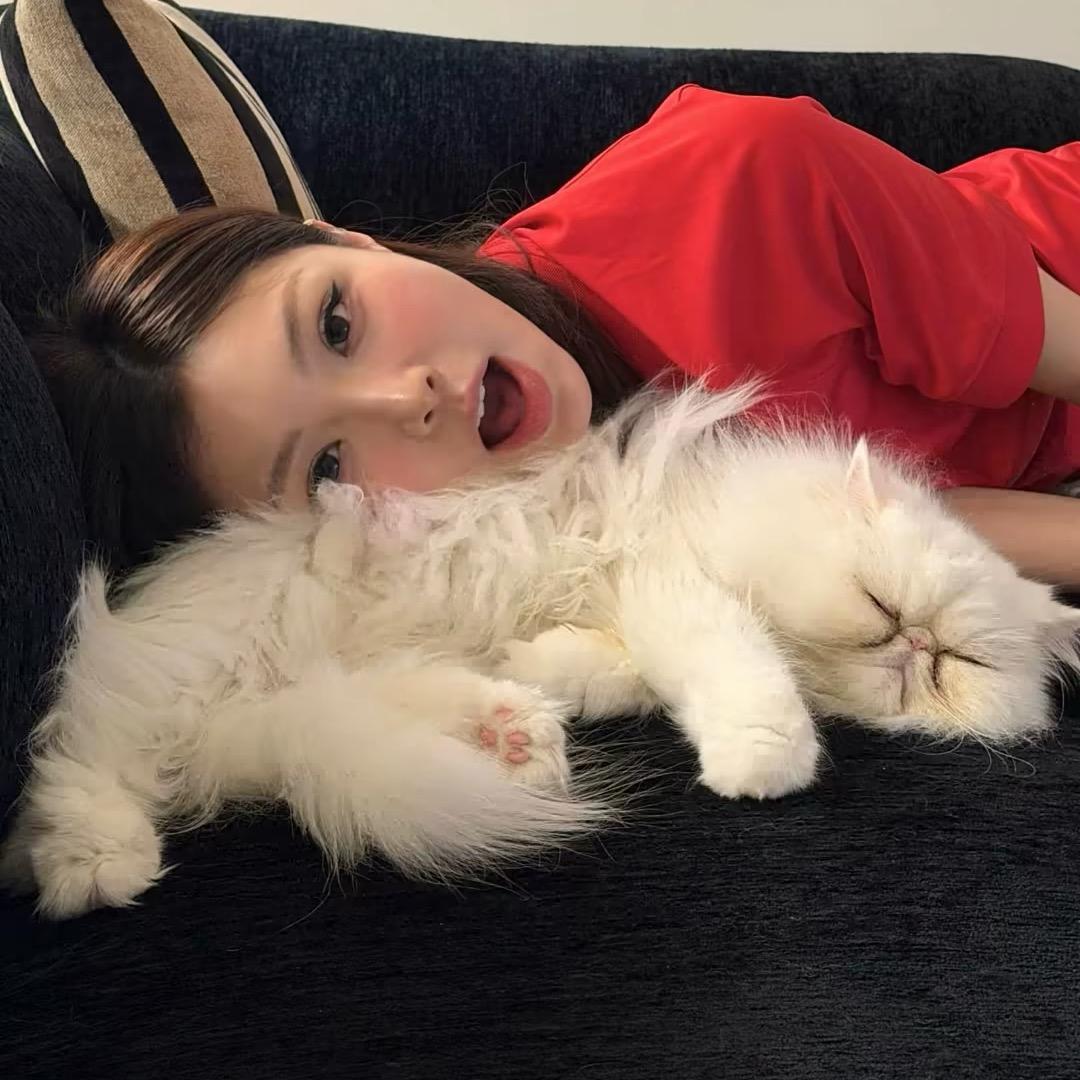 一口西红柿🍅.