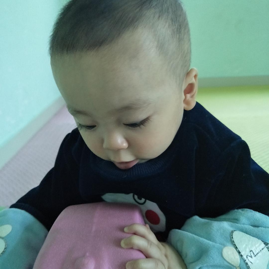 何以为家