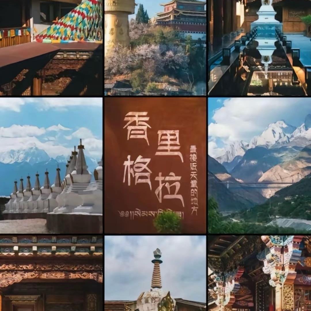 这丫头很拽💙卡布💙