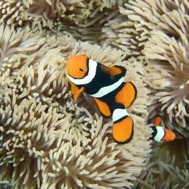 南京蓝色海洋世界