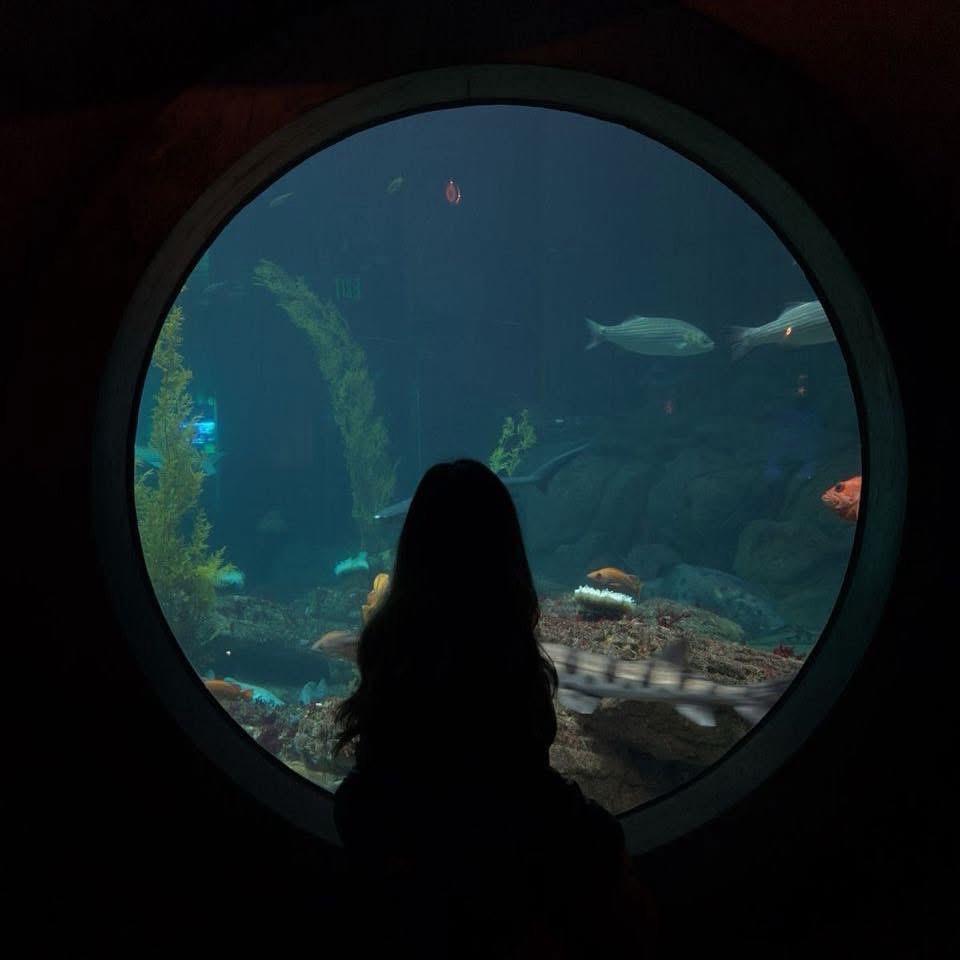 ㅤ 𝓢𝓾𝓶𝓶𝓮𝓻