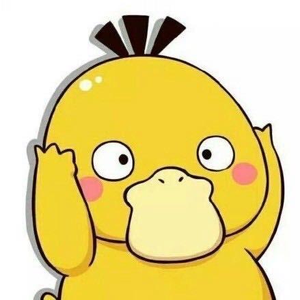 爱飞机的可达鸭