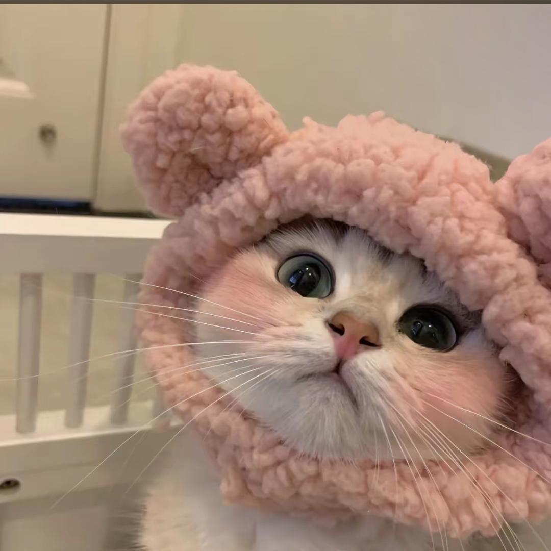 雪雪又又又困了.⛈.