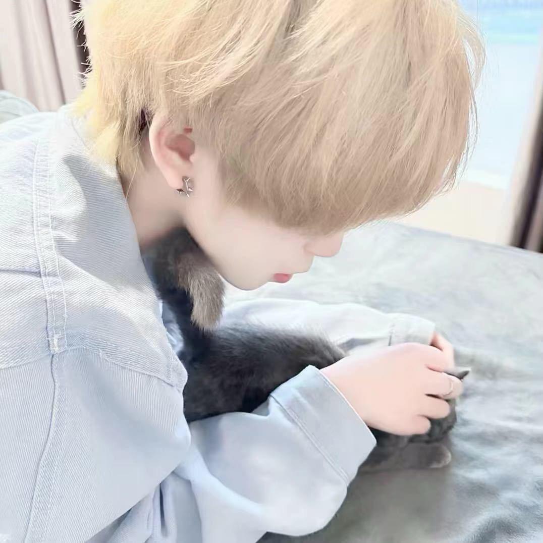 𝙆𝙤𝙞做過夢.