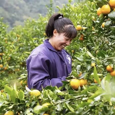 发现鲜果百货店