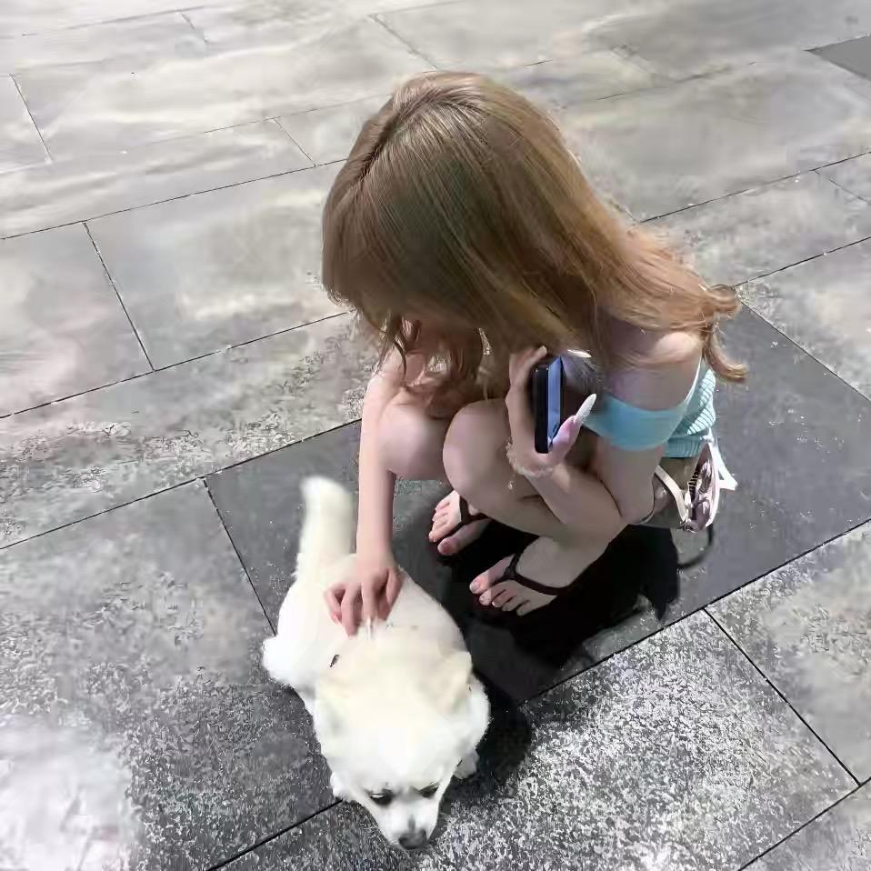 开开小甜