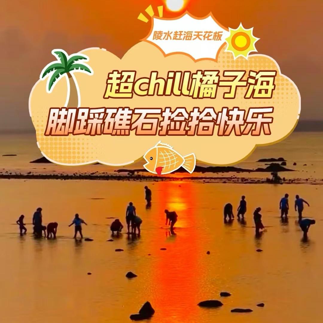 赤岭小海豚赶海驿站