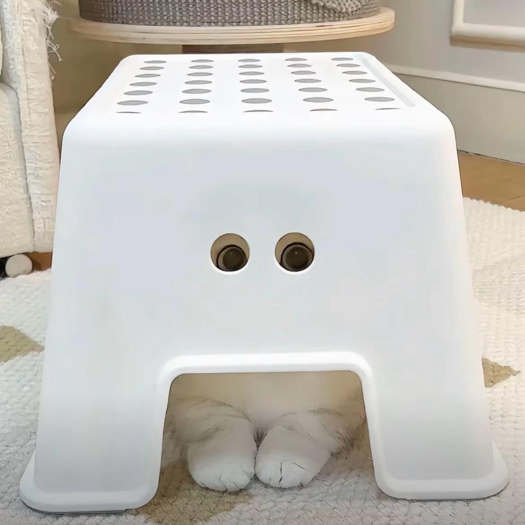 🧀芝士就是力量