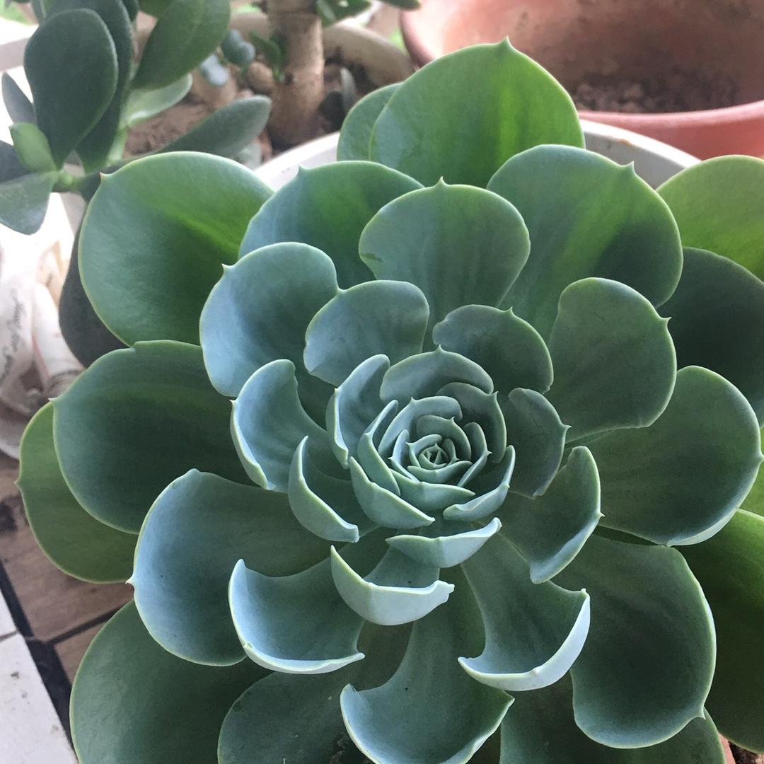晚年幸福