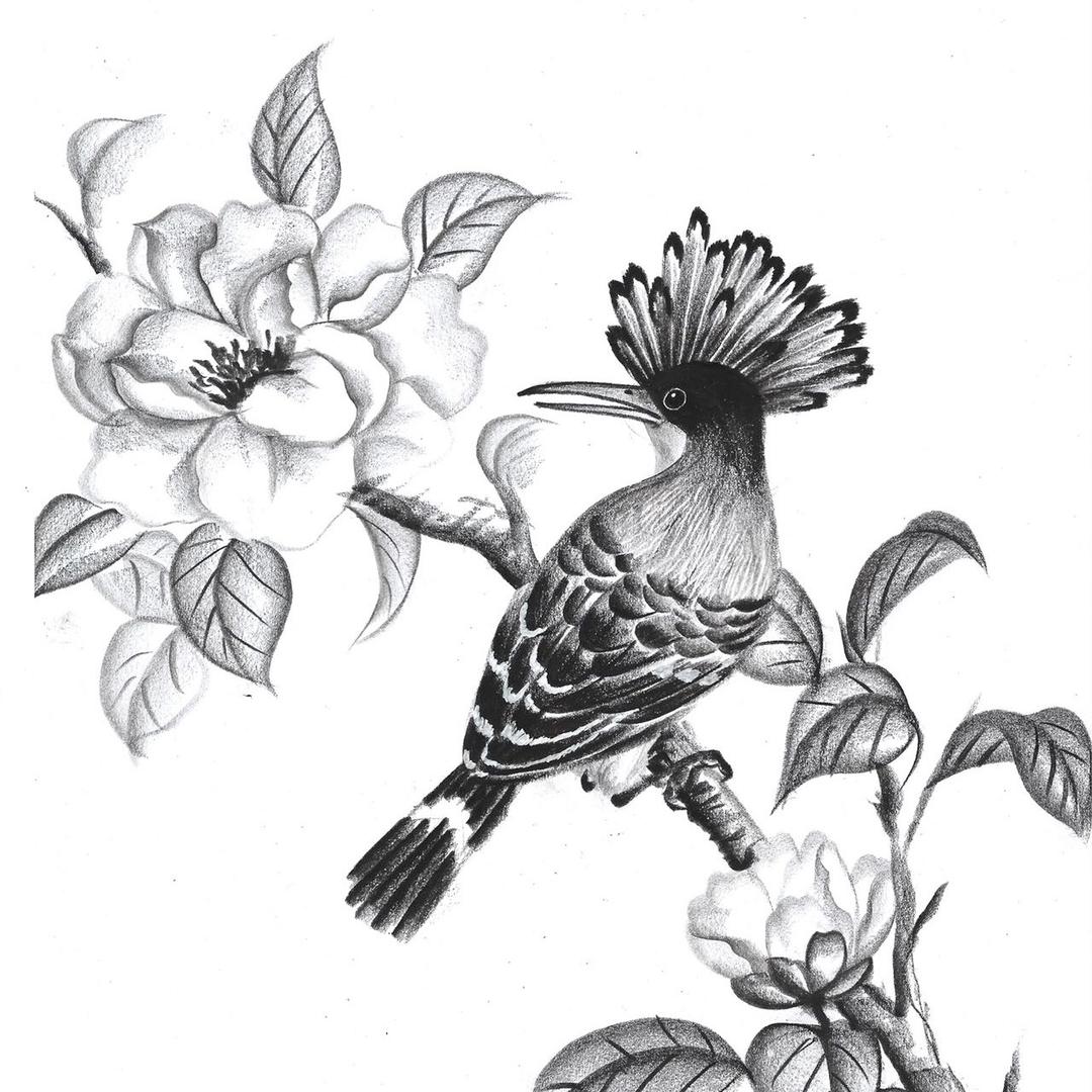 小倪绘画