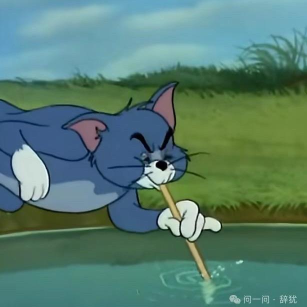 游泳小宇老师🏊