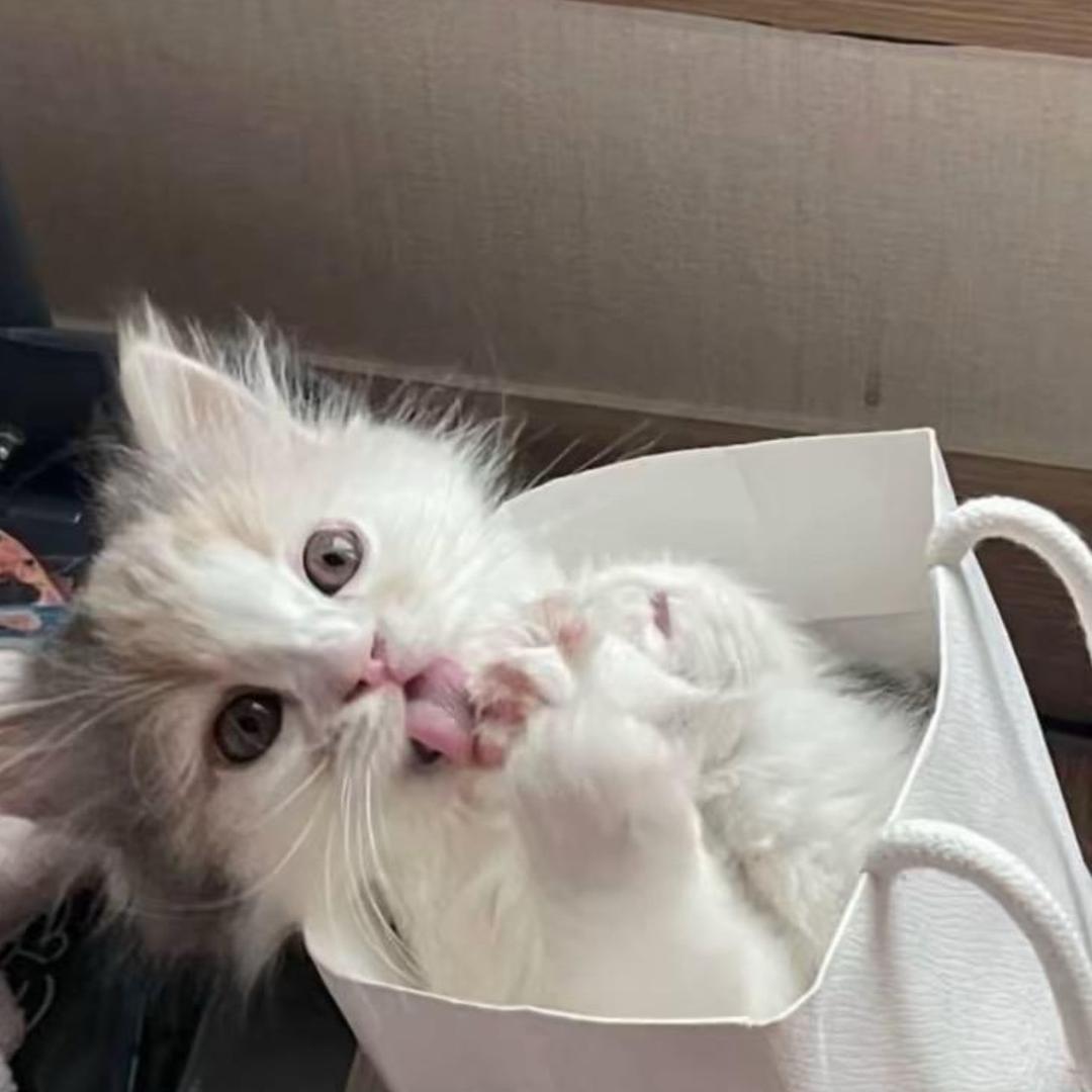 关你屁事  关我屁事