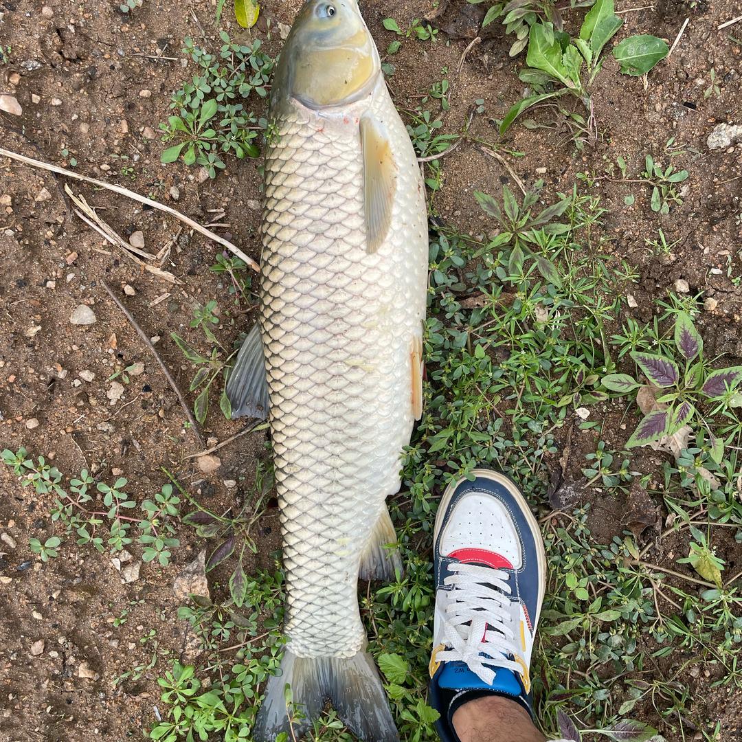 小杜钓鱼（西南风不作钓）