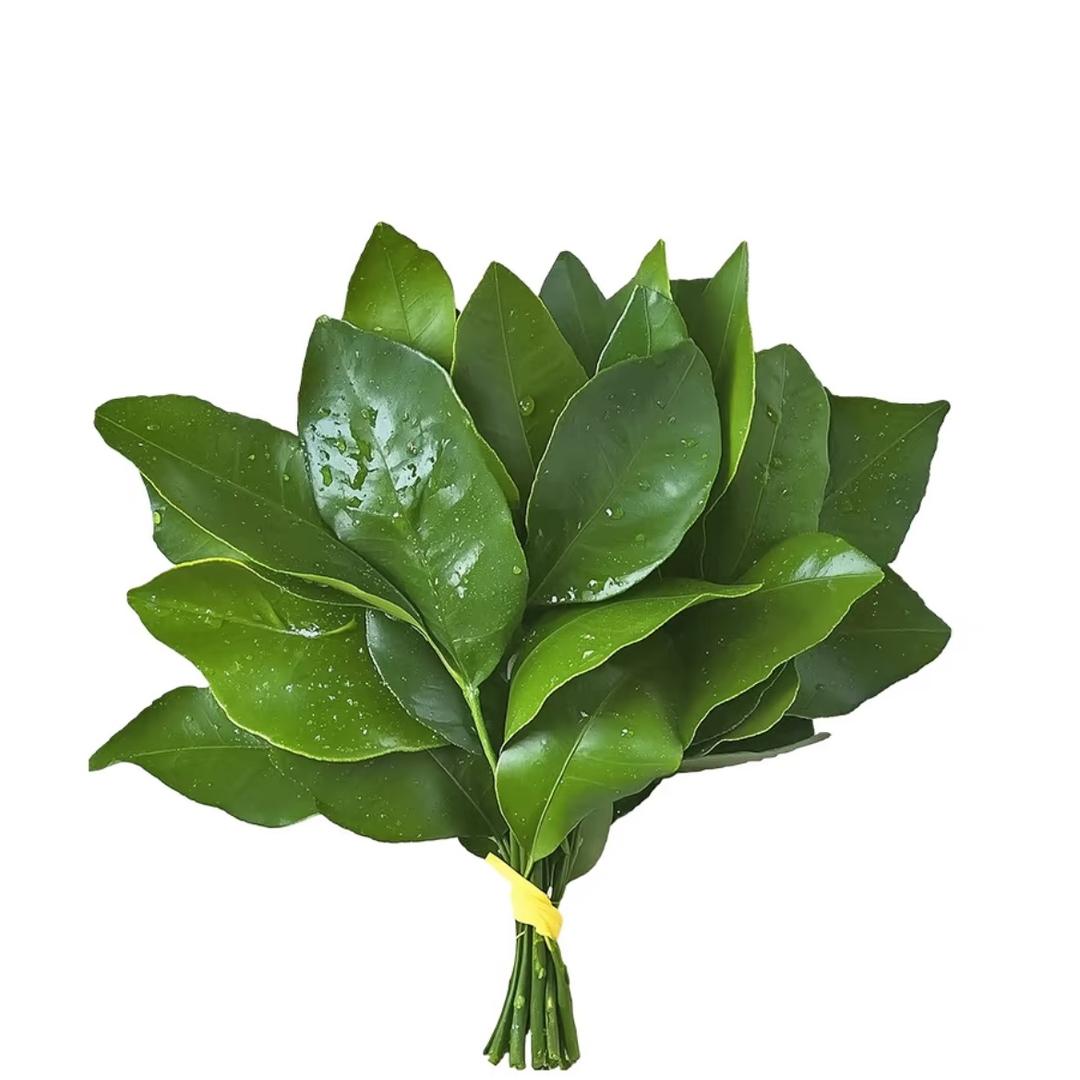 娇麦麦