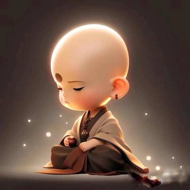 灰灰不秃头