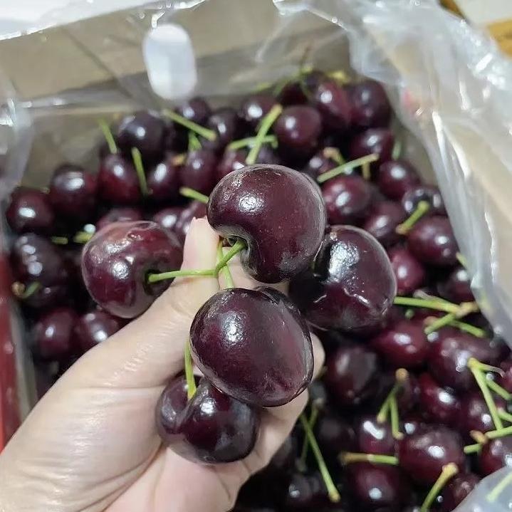 果然果鲜车厘子