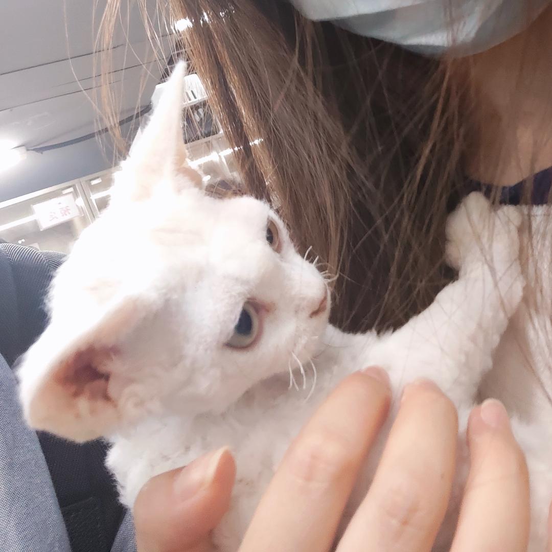 一觉醒来我竟重生了