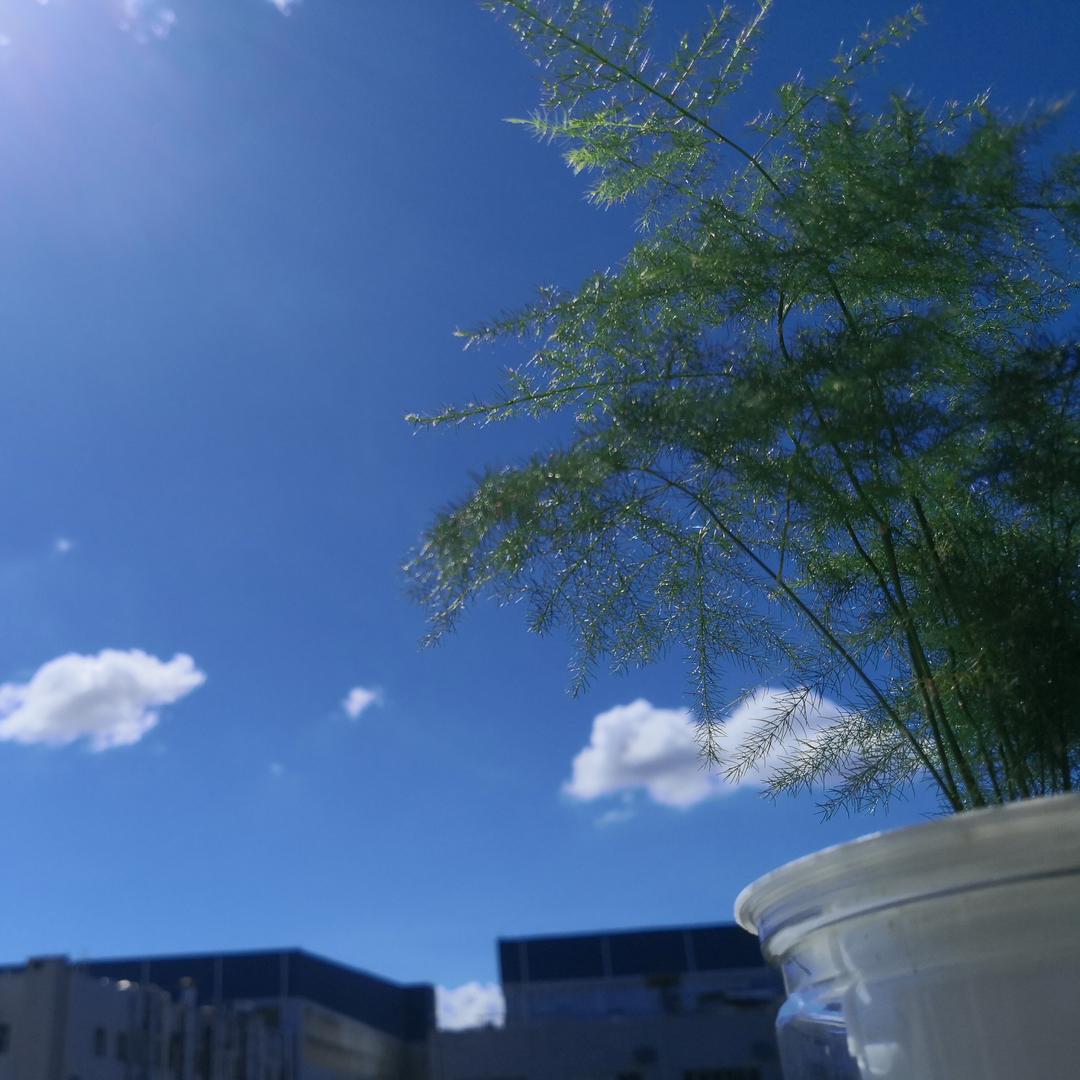 源～
