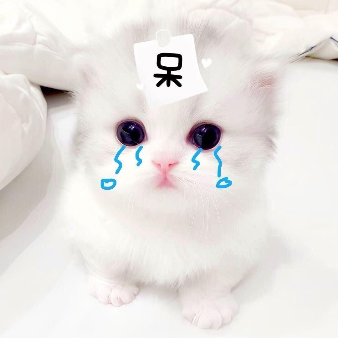莹少