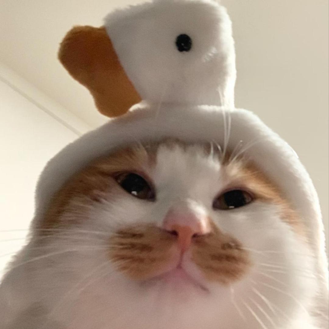 小骨