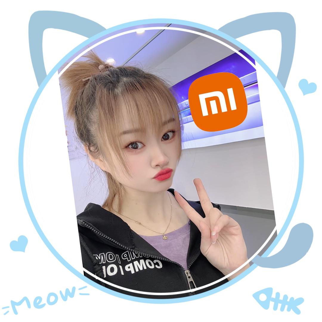 齐河齐贸大街小米之家🎀萌萌哒