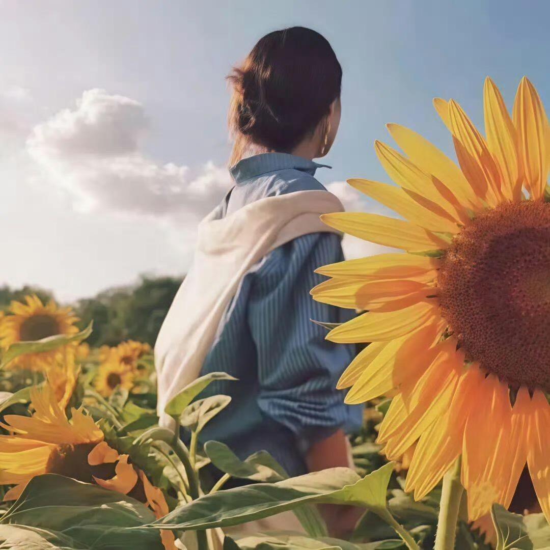 球球爱吃小番茄