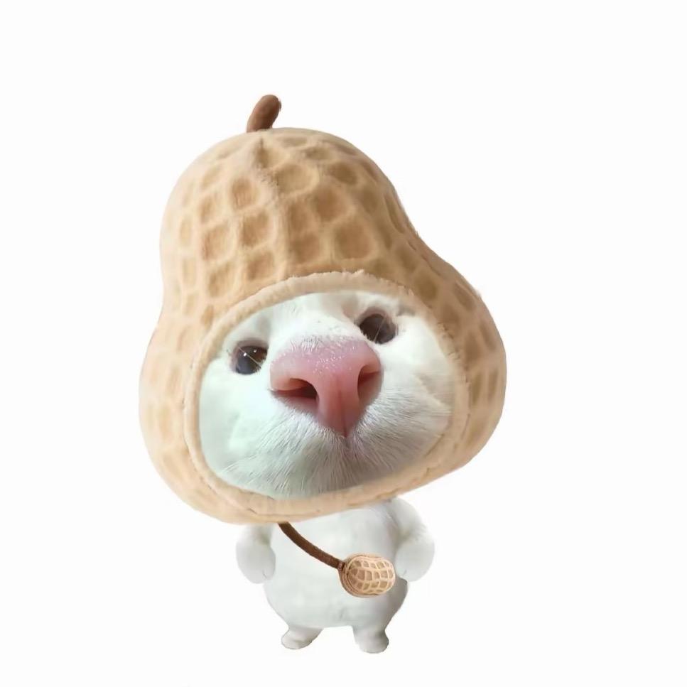 晚安.