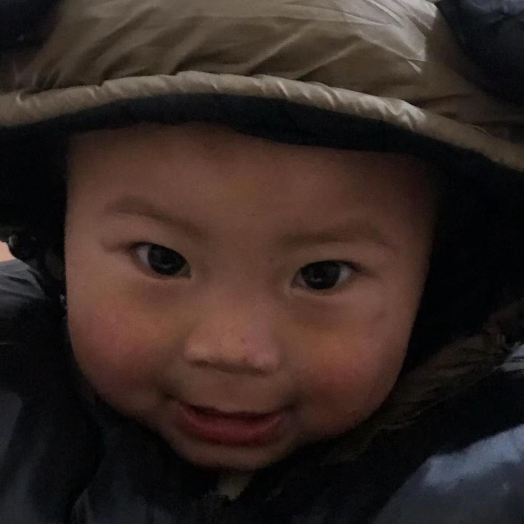 坏蛋狗