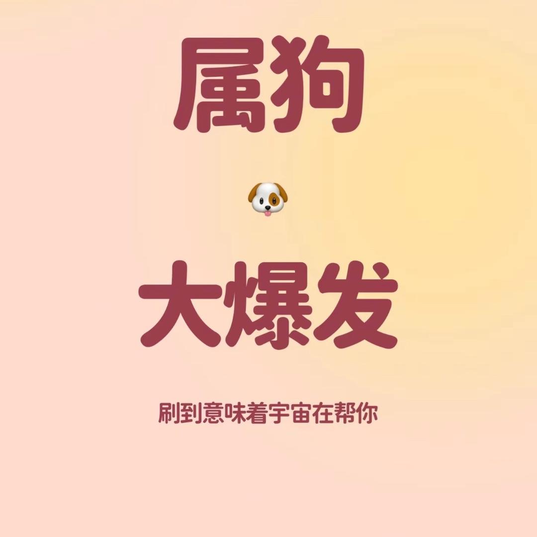 网约日记