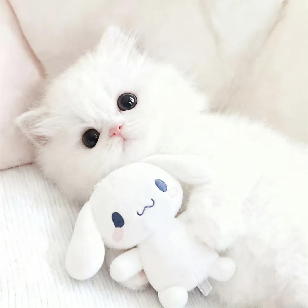 天真