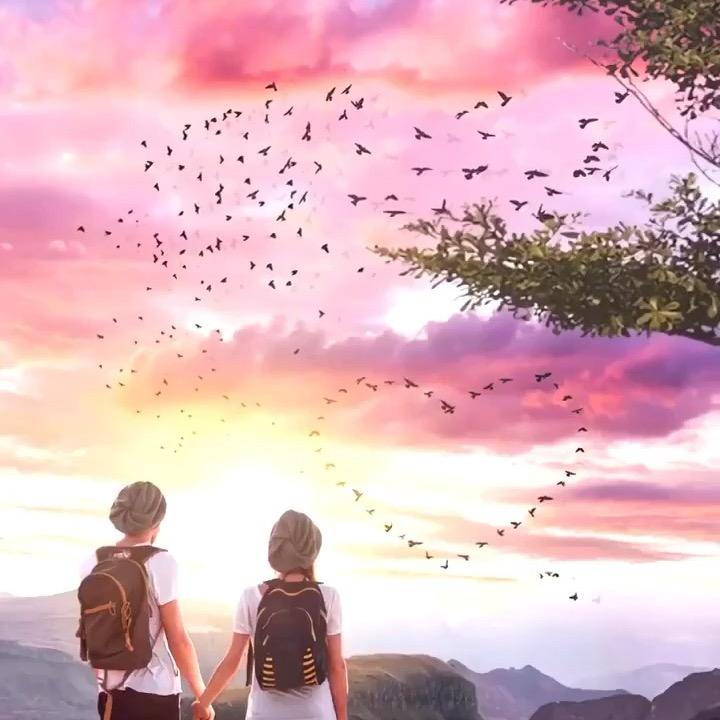 小陶赶集