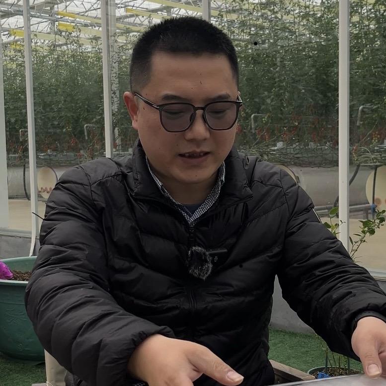 蓬青果蔬合作社