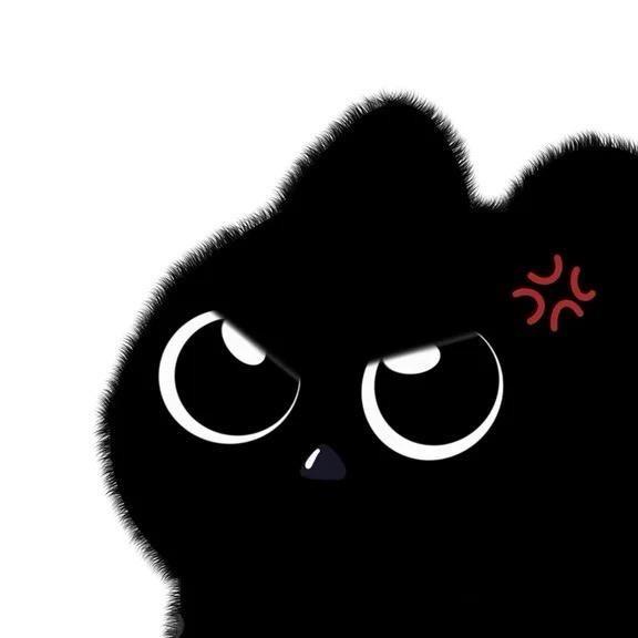 小核桃✨