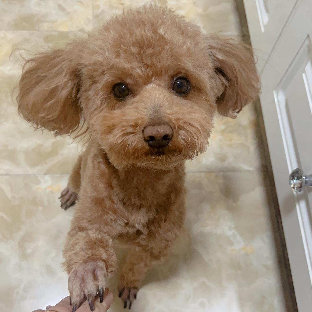 ✎﹏王❦哪跑²⁰²³ 🧸