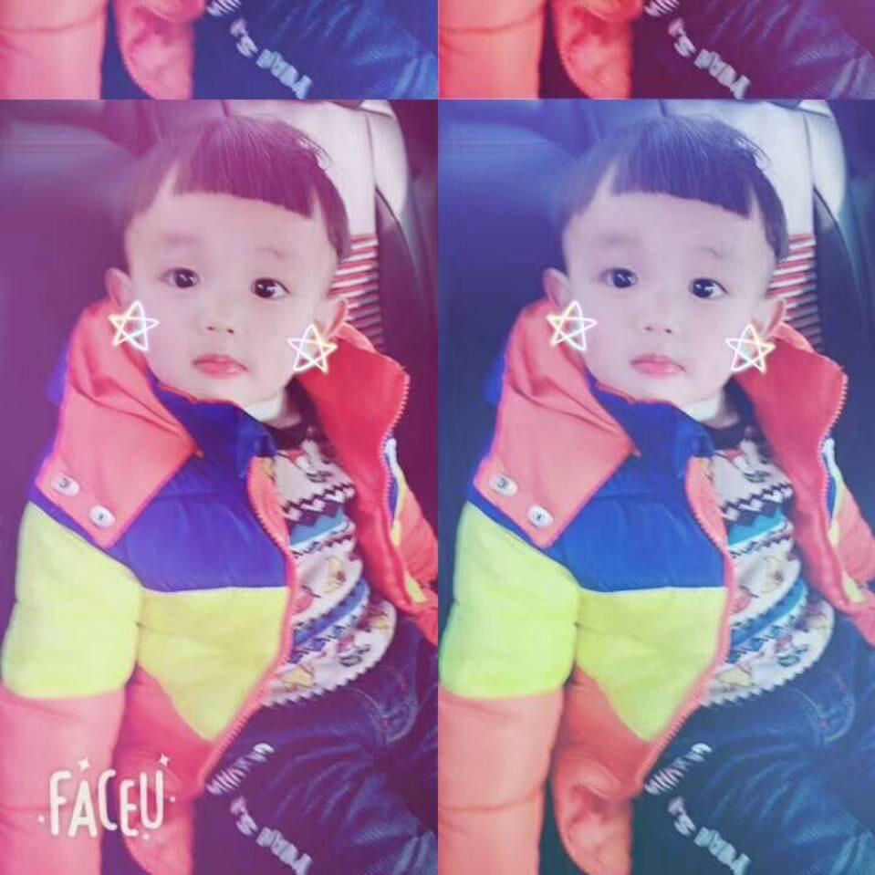 不顾一切奔向你