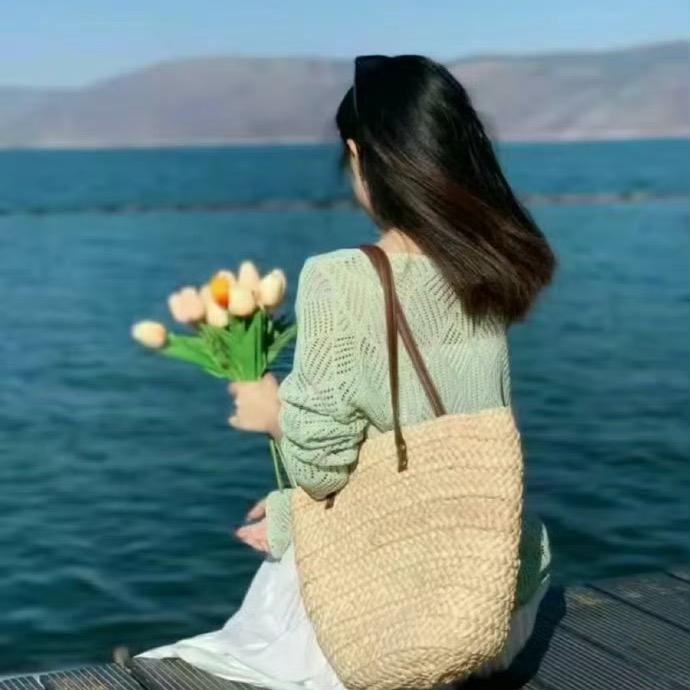 简如心素