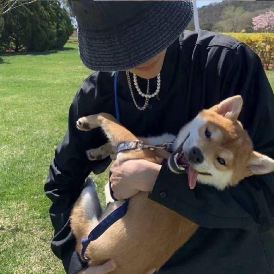 我有亿点点烦恼